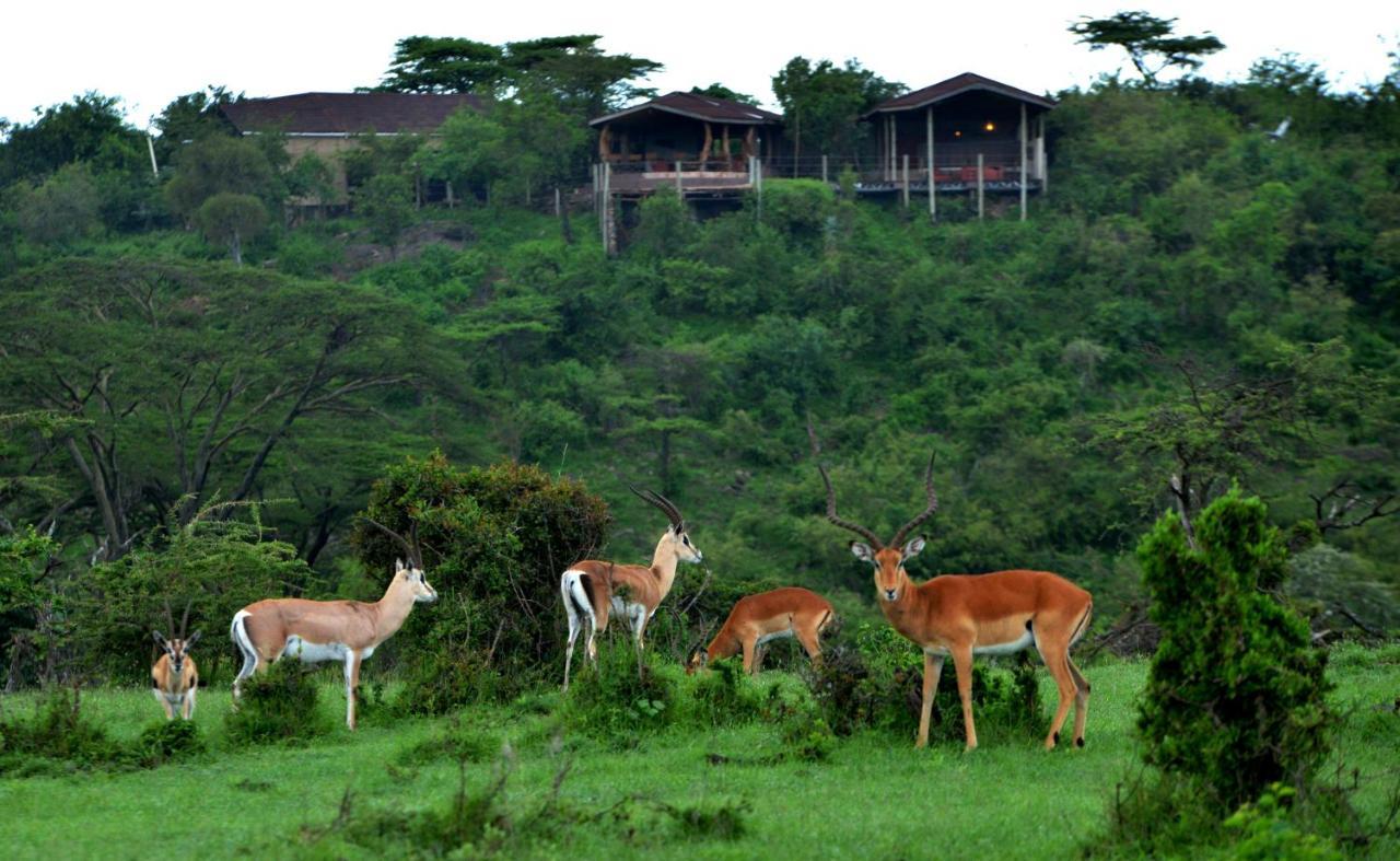 Saruni Eagle View Hotel Naboisho Exterior photo